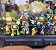 BTV ninja turtles BTV ninja turtles