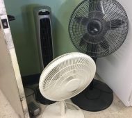 Will fans Will fans