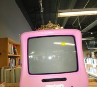 Will Pink tv Will Pink tv