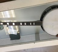 Will banjo Will banjo