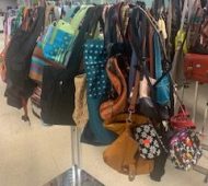 Will purses2 Will purses2