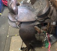 BTV saddle2 BTV saddle2