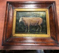 Barre sheep Barre sheep