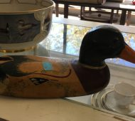 duck duck