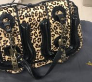 Will fendi Will fendi