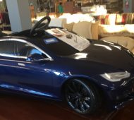 Will tesla Will tesla