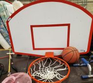 Will b.ball Will b.ball