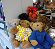 W bears W bears